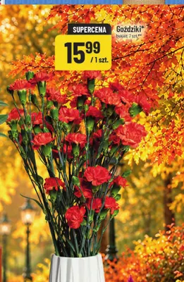 Goździki POLOmarket promocja w POLOmarket
