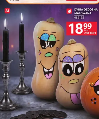 Dynia ozdobna malowana promocja w Selgros