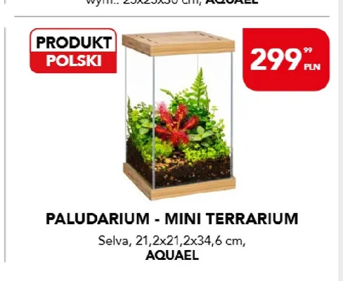 Paludarium - mini terrarium Selva Aquael promocja w Aquael zoo