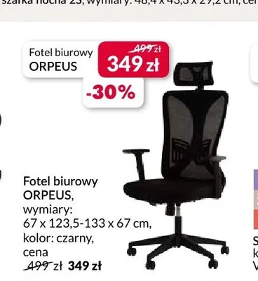 Fotel biurowy Orpeus promocja w Salony Agata