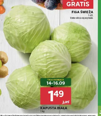 Kapusta biała promocja w Stokrotka