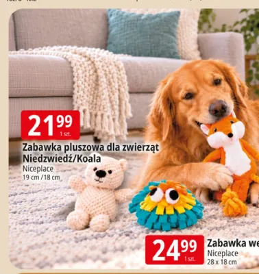 Zabawka pluszowa dla zwierząt NiedŰwiedź Niceplace promocja w Leclerc