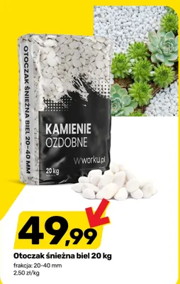 Otoczak śnieżna biel wworku.pl 20-40mm promocja w Bricomarche