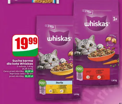 Sucha karma dla kota promocja w Dino