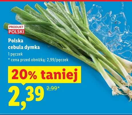 Cebula dymka promocja w Lidl