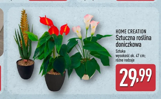 Sztuczna roślina doniczkowa Home Creation promocja w Aldi