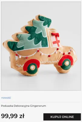 Poduszka dekoracyjna Gingerwrum home & you promocja w home&you