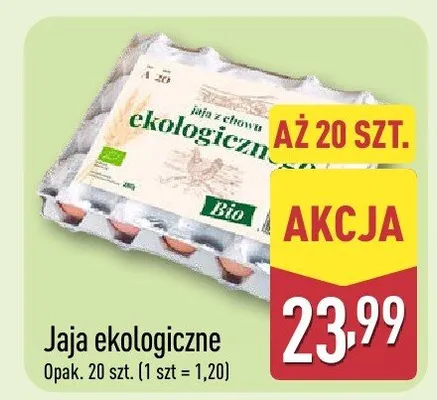 Jaja ekologiczne promocja w Aldi