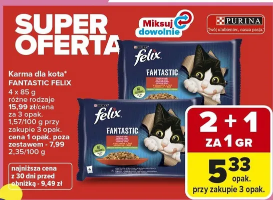Karma dla kota Fantastic różne rodzaje promocja w Carrefour Market