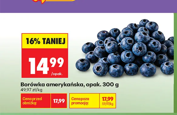 Borówka amerykańska promocja w Biedronka
