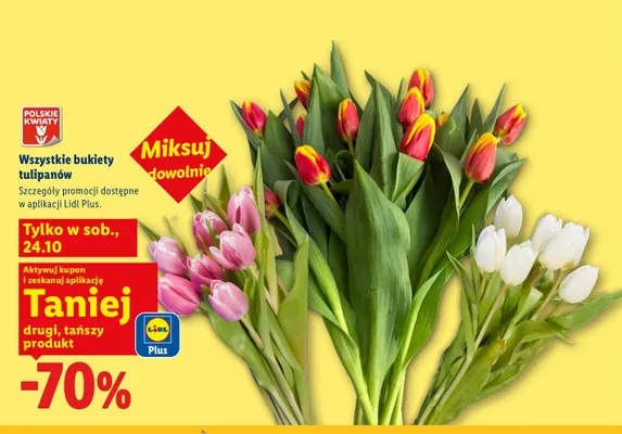 Bukiety tulipanów promocja w Lidl