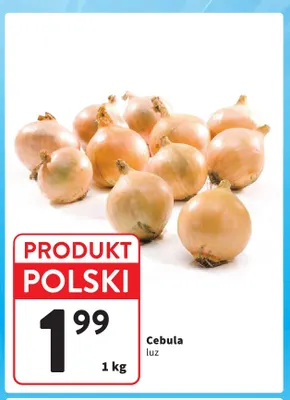 Cebula promocja w Intermarche