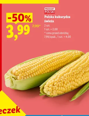 Kukurydza świeża 2-pak Lidl promocja w Lidl