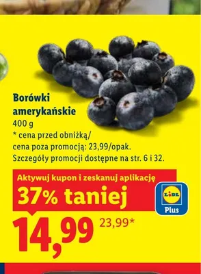 Borówki amerykańskie Lidl promocja w Lidl