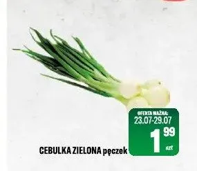 Cebulka zielona pęczek promocja w Tomi Markt