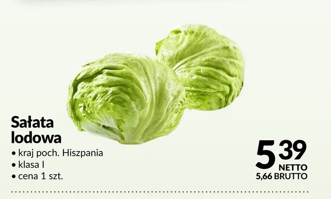 Sałata lodowa promocja w Makro