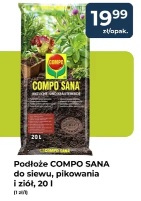 Podłoże COMPO SANA do siewu, pikowania i ziół, 20l promocja w PSB Mrówka