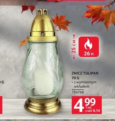 Znicz Tulipan z wymiennym wkładem promocja w Selgros