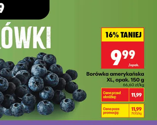 Borówka amerykańska XL promocja w Biedronka