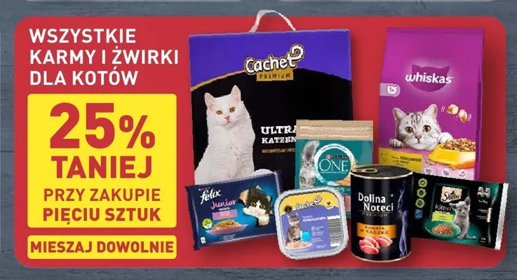 Karma dla kota Cachet promocja w Aldi