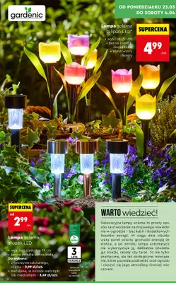 Lampa solarna słupek LED z tworzywa sztucznego, czarna promocja w Biedronka