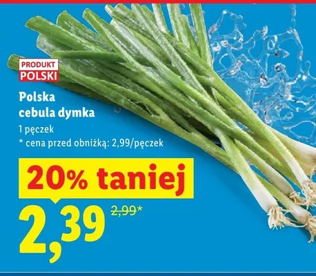 Cebula dymka polska promocja w Lidl