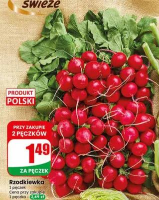Rzodkiewka polska promocja w Dino