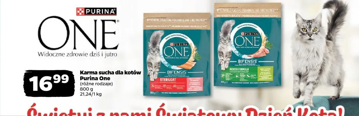 Karma sucha dla kotów, różne rodzaje promocja w Netto