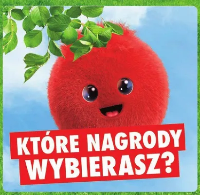 Katalog Nagród, strona 8 promocja w Intermarche