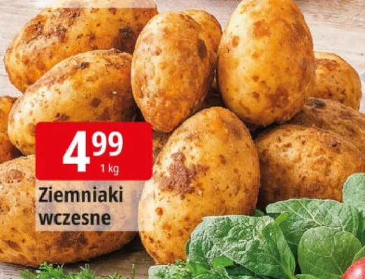Ziemniaki wczesne promocja w Leclerc