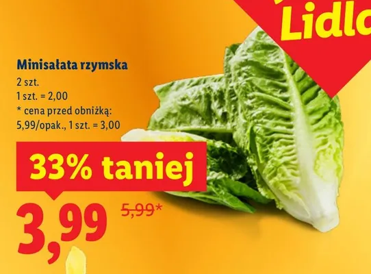 Minisałata rzymska promocja w Lidl