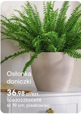 Osłonka doniczki piaskowiec promocja w Castorama
