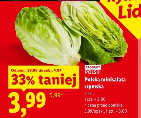 Minisałata rzymska polska promocja w Lidl