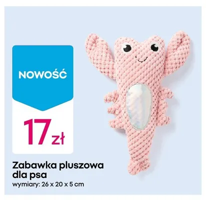 Zabawka pluszowa dla psa wymiary: 26x20x5cm promocja w Pepco