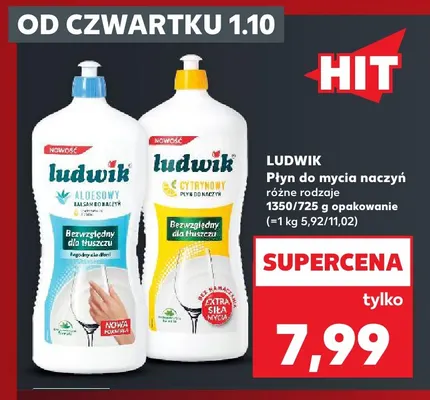 Płyn do mycia naczyń aloesowy Ludwik promocja w Kaufland