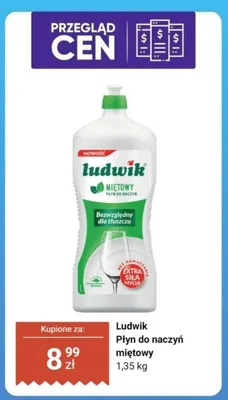 Płyn do naczyń Ludwik miętowy promocja w Dino