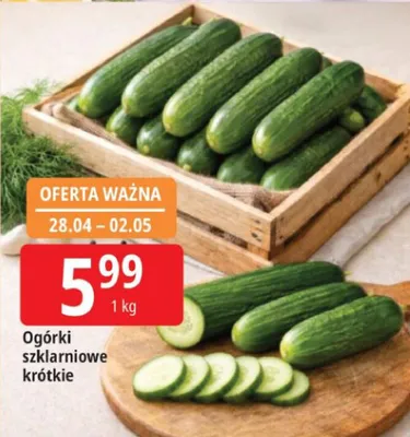 Ogórki szklarniowe krótkie promocja w Leclerc