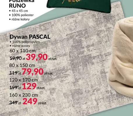 Dywan Pascal 120x170 cm promocja w Salony Agata