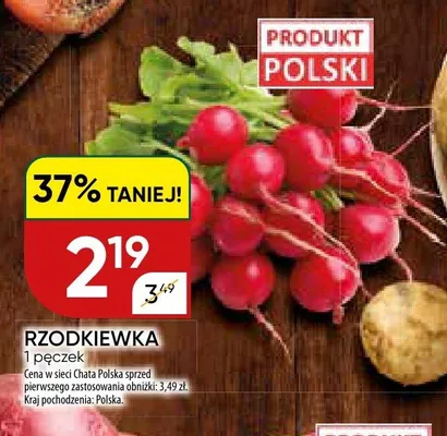 Rzodkiewka polska promocja w Chata Polska