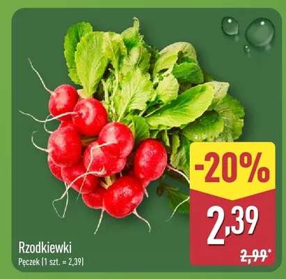 Rzodkiewki promocja w Aldi