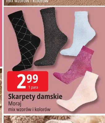 Skarpety damskie Moraj promocja w Leclerc