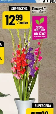 Mieczyk promocja w POLOmarket