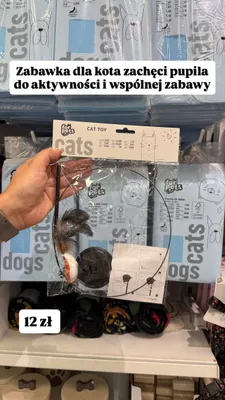 Zabawka dla kota for pets promocja w Pepco