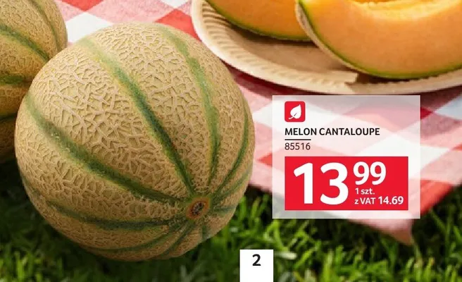 Melon cantaloupe promocja w Selgros