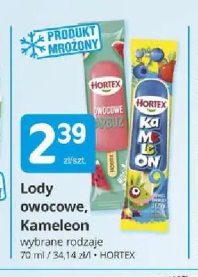 Lody owocowe Kameleon Hortex promocja w Marketvita