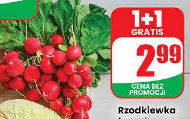 Rzodkiewka promocja w Dino