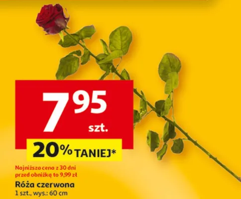 Gazetka 30 Lat Hipermarket Auchan, strona 37 promocja w Auchan