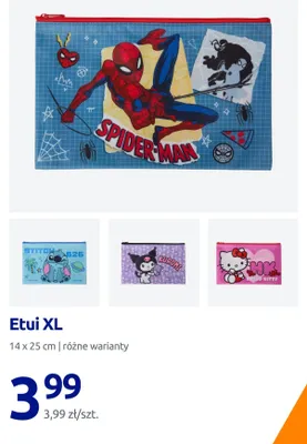 Etui XL 14x25 cm promocja w Action