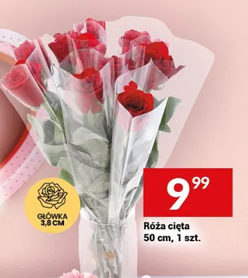 Róża cięta promocja w Twój Market