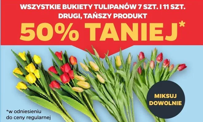Bukiety tulipanów 7 szt. i 11 szt. promocja w Netto